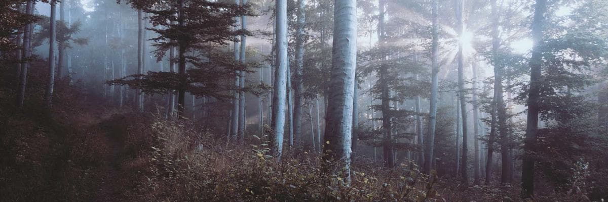 Máy hàn Ingco - Chính hãng giá tốt