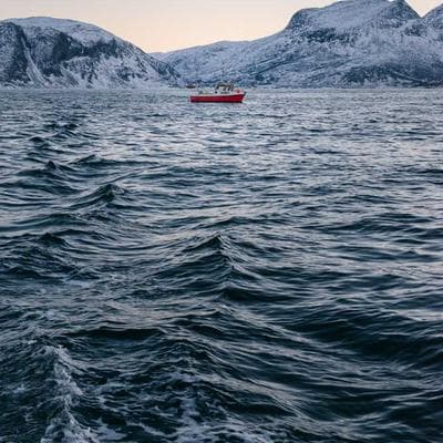 Máy cắt gạch Makita 4100NH3 1300W