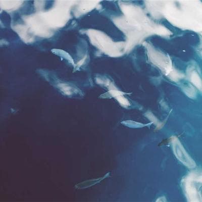 Máy khoan pin Bosch GSR 120-LI 12V