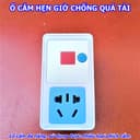 Ảnh 5