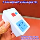 Ảnh 6