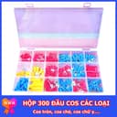 Ảnh 10