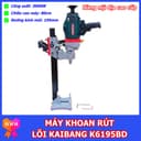 Ảnh 10