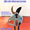 Ảnh 9