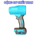 Ảnh 10